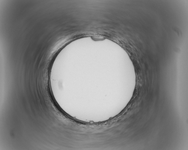 X0000111500005200908111257