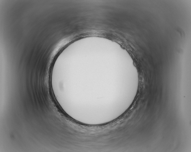 X0000111500006200908111257