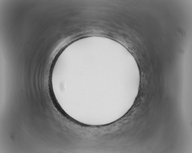 X0000111500007200908111257