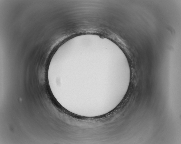 X0000111500012200908111257