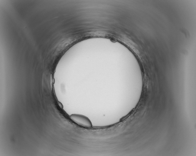 X0000111500013200908111257