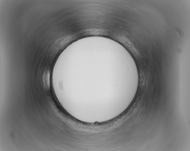 X0000111500014200908111257