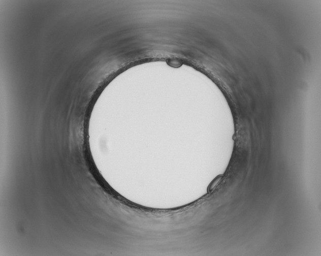 X0000111500015200908111257