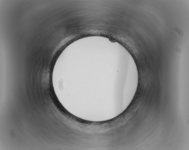 X0000111500016200908111257