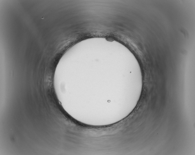 X0000111500017200908111257