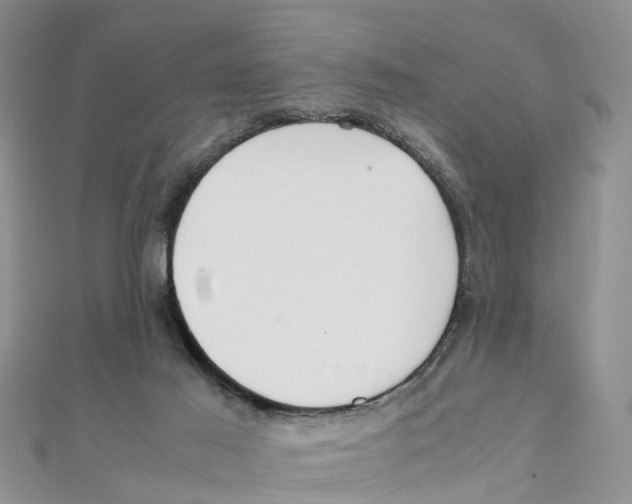 X0000111500021200908111257