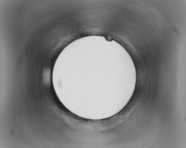 X0000111500024200908111257