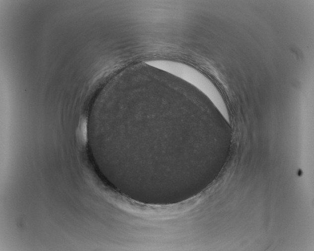 X0000111500027200908111256