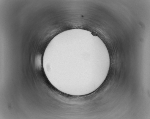 X0000111500028200908111256