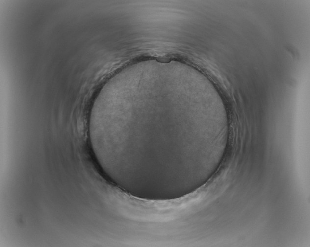 X0000111500031200908111256