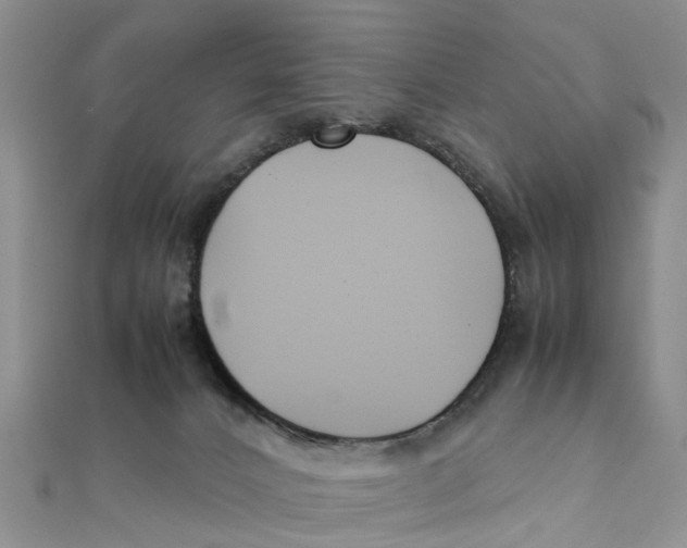 X0000111500032200908111256