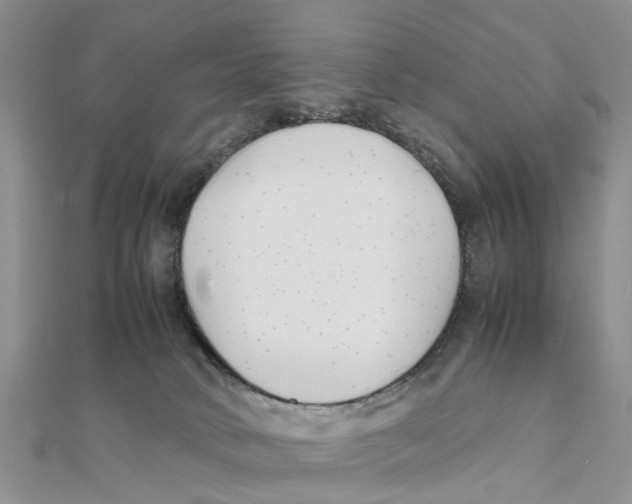 X0000111500034200908111256