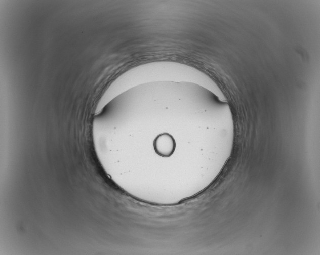 X0000111500035200908111256