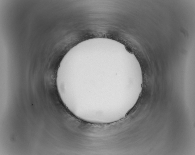 X0000111500037200908111256