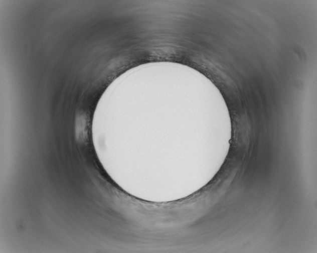 X0000111500038200908111256