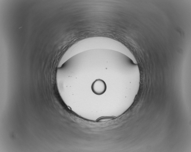 X0000111500039200908111256