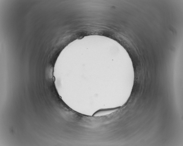 X0000111500041200908111256