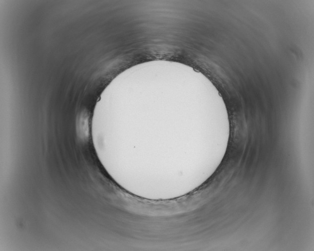 X0000111500042200908111256