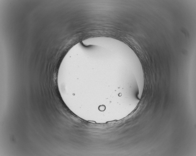 X0000111500045200908111256