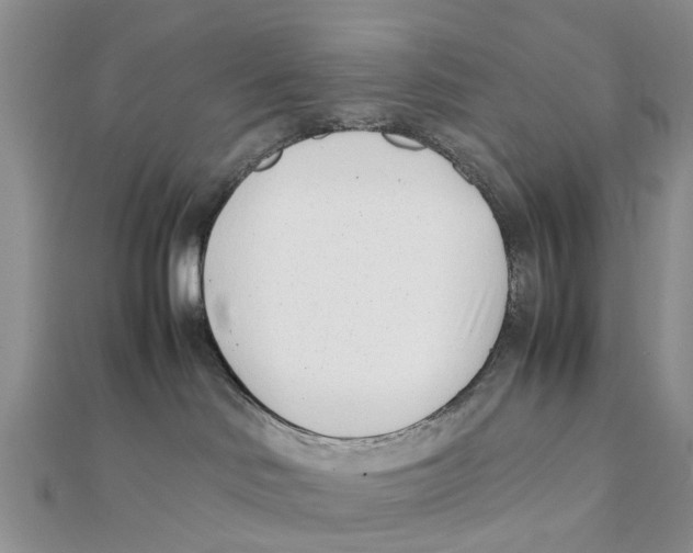 X0000111500046200908111256