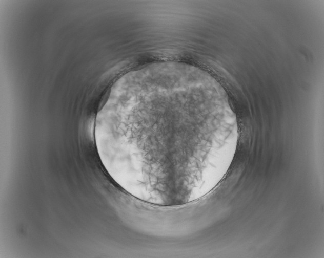 X0000111500047200908111256