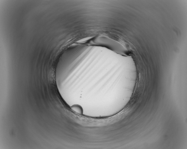 X0000111500048200908111256