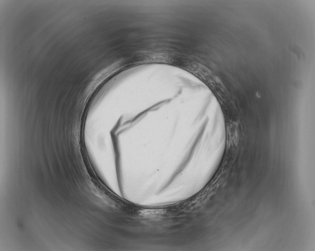 X0000111500051200908111255