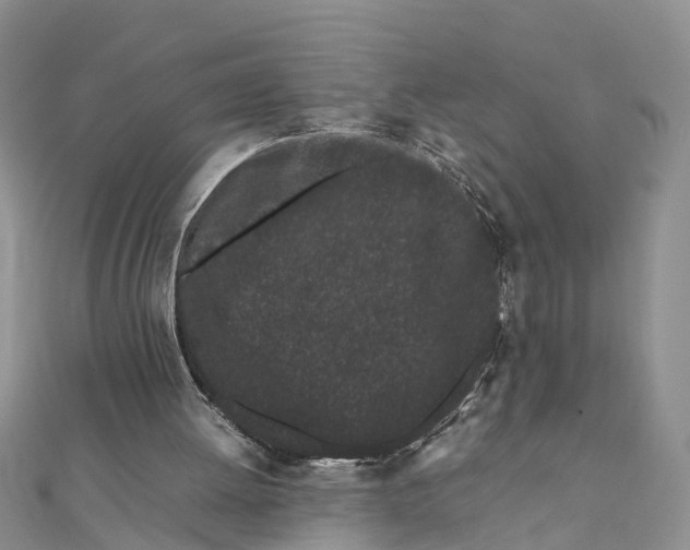 X0000111500052200908111255