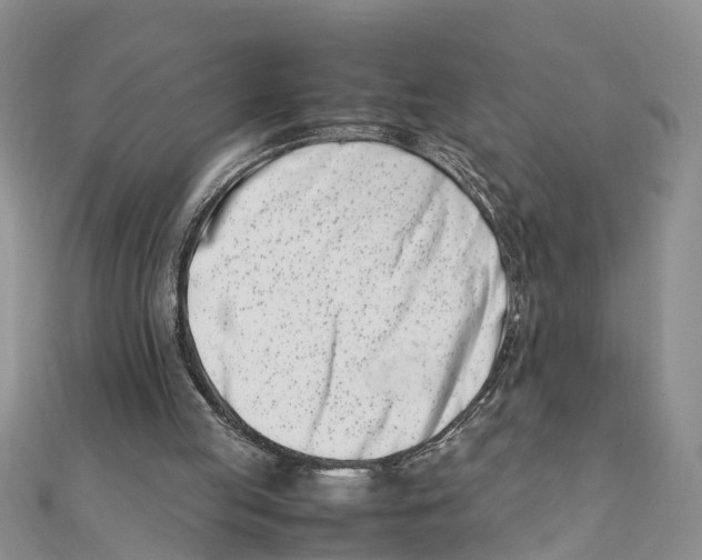 X0000111500053200908111255