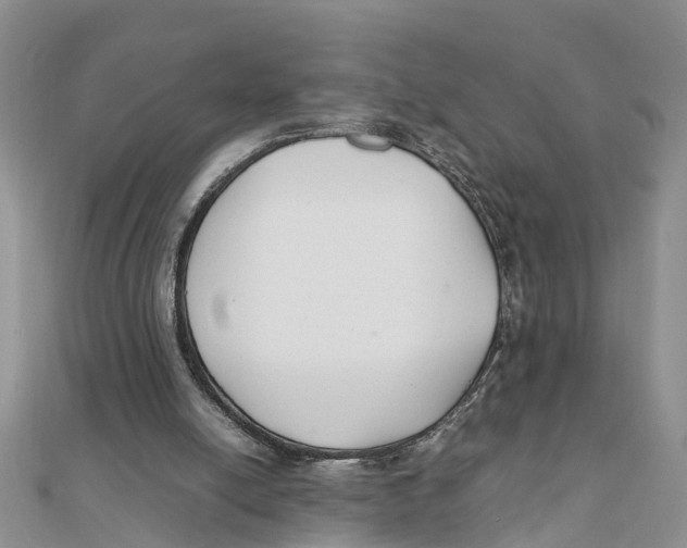 X0000111500054200908111255