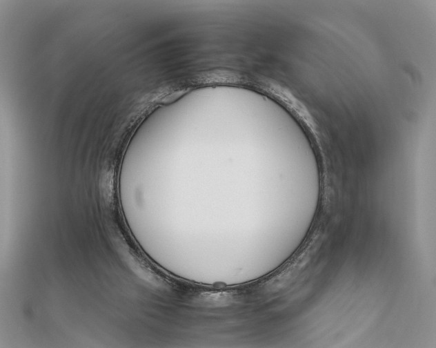 X0000111500057200908111256