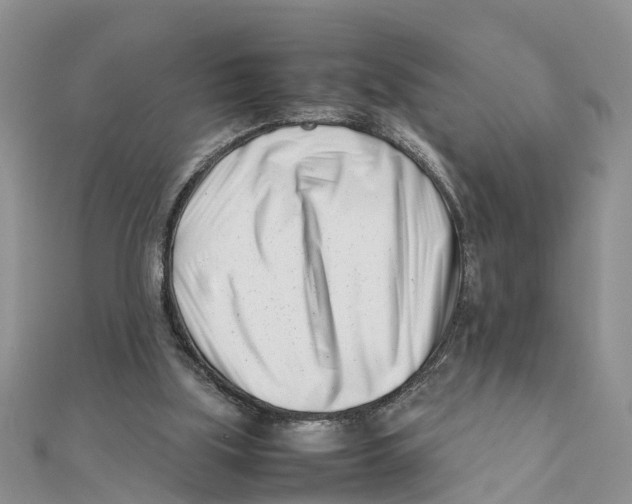 X0000111500059200908111256