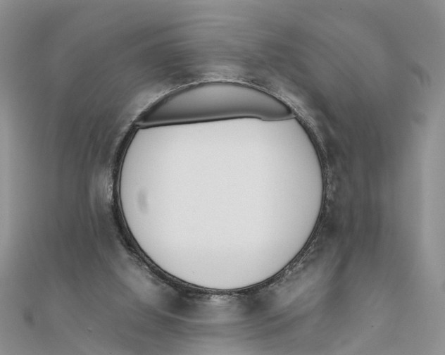 X0000111500060200908111256