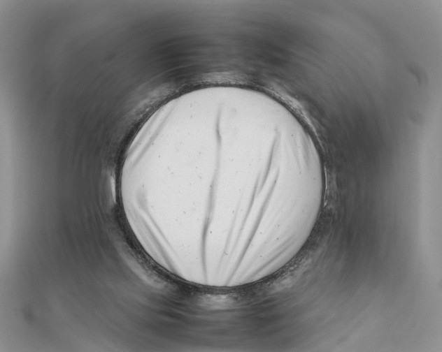 X0000111500061200908111256