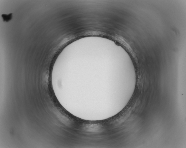 X0000111500063200908111256