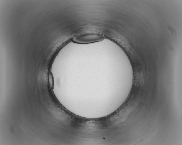 X0000111500064200908111256