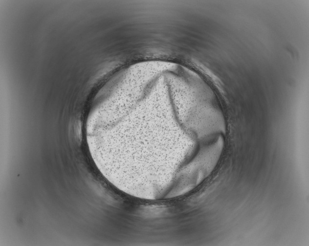 X0000111500067200908111256