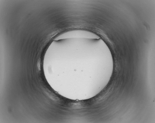 X0000111500068200908111256