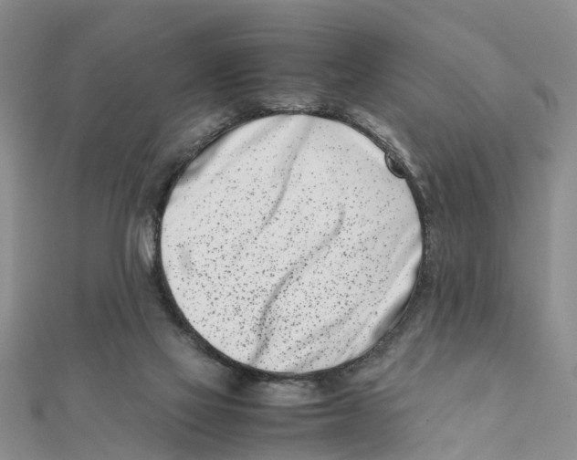 X0000111500069200908111256