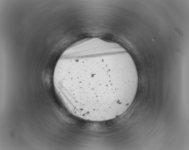 X0000111500074200908111256