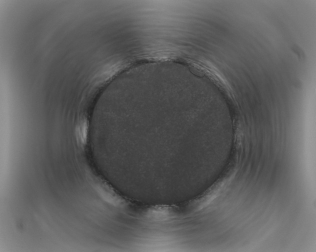 X0000111500076200908111256