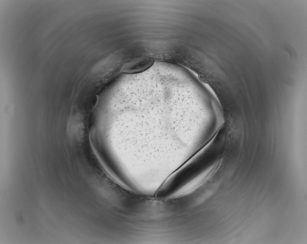 X0000111500080200908111256