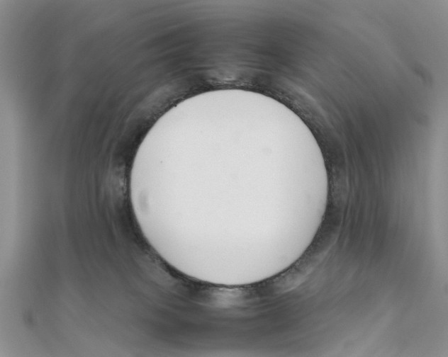 X0000111500085200908111256