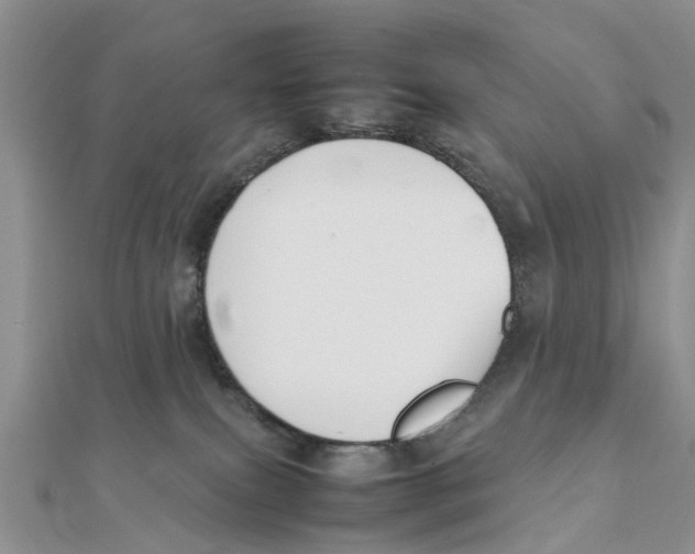 X0000111500087200908111256