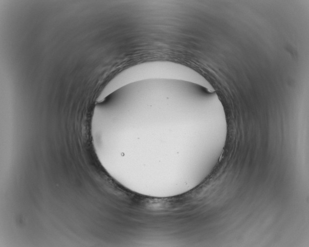 X0000111500088200908111256