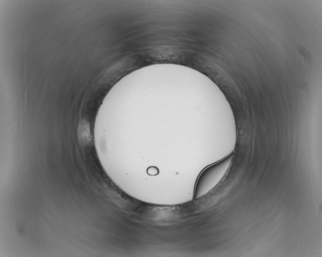 X0000111500089200908111256