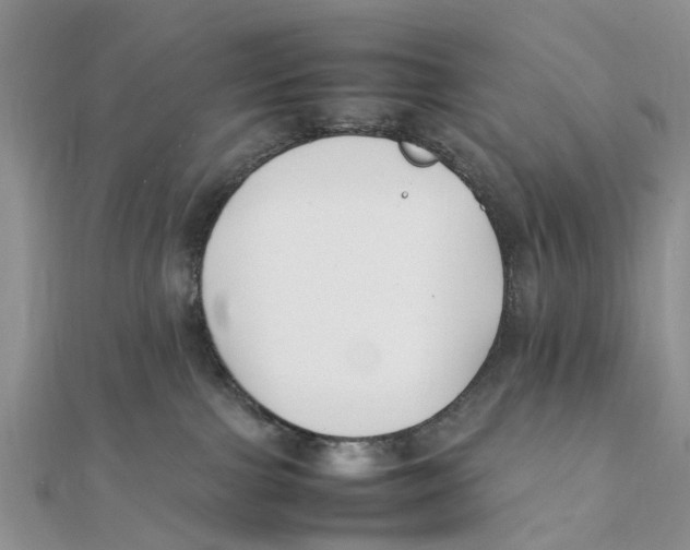 X0000111500091200908111256