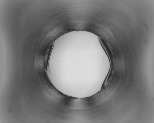 X0000111500092200908111256