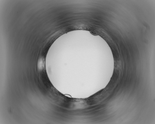 X0000111500095200908111256