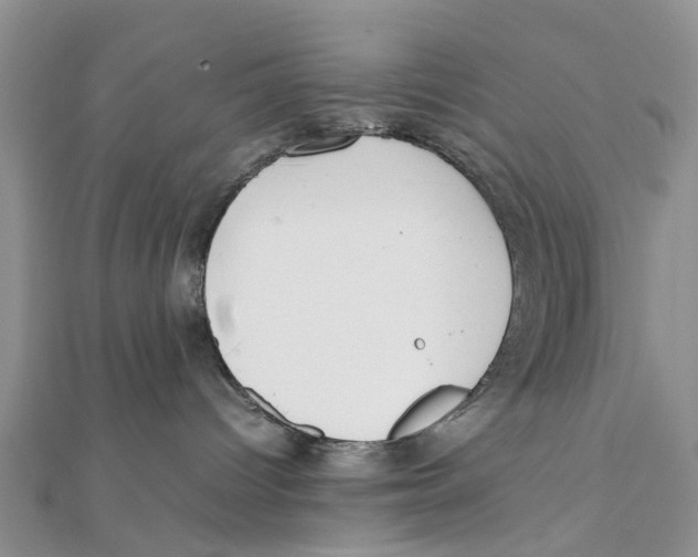 X0000111500096200908111256